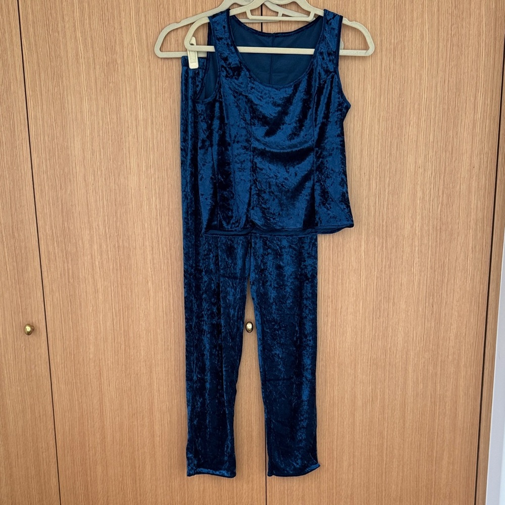 Vintage Elegant Blue Velvet Set M (NWOT)